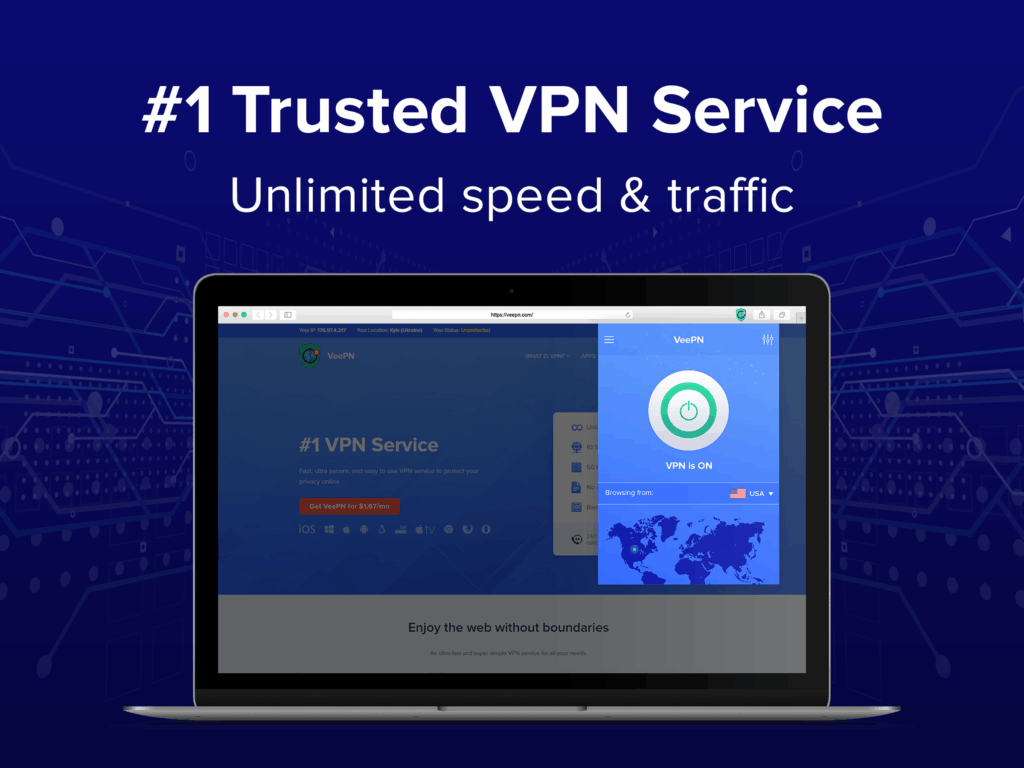 billig vpn veepn